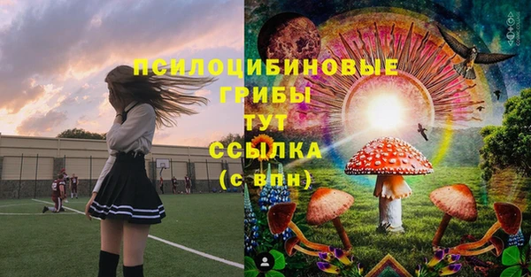 PSILOCYBIN Балабаново